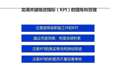 龍湖集團 以精細化運營鑄就卓越企業管理的典范